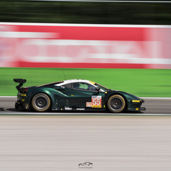 ELMS (6)