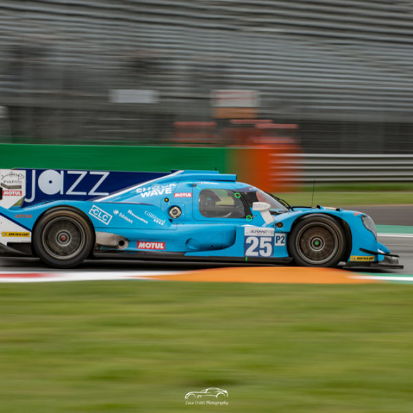 ELMS (16)