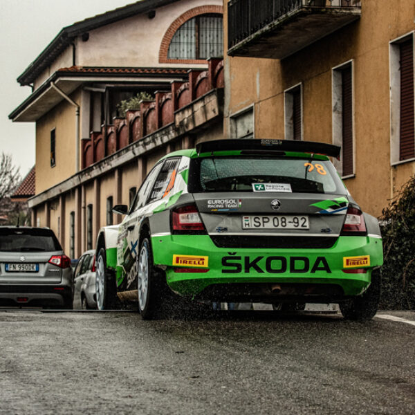 WRC 2020 (50)