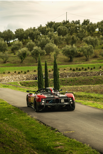 Zonda (10)